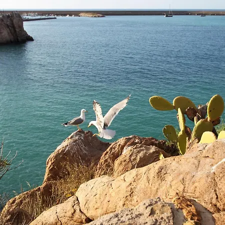 Faraglioni Fronte * Cefalù